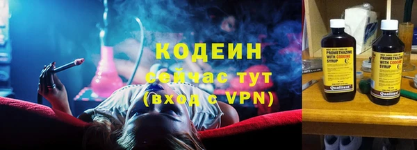 шишки Киренск
