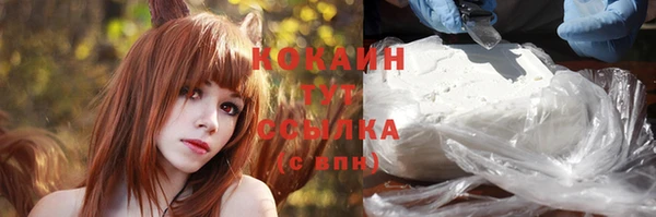 шишки Киренск