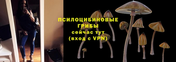 apvp Карпинск