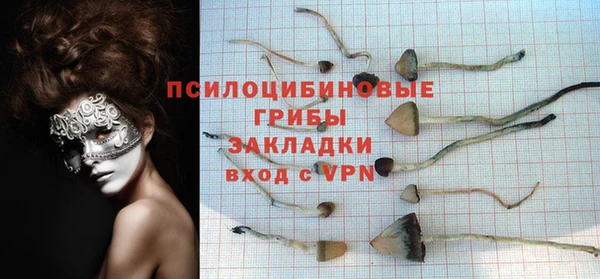 твердый Касимов