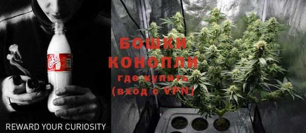 шишки Киренск