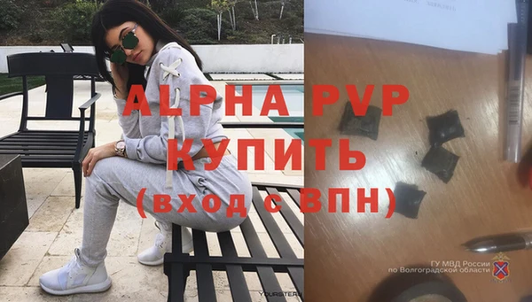 спиды Покачи