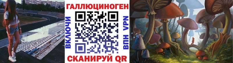 Галлюциногенные грибы мицелий Княгинино